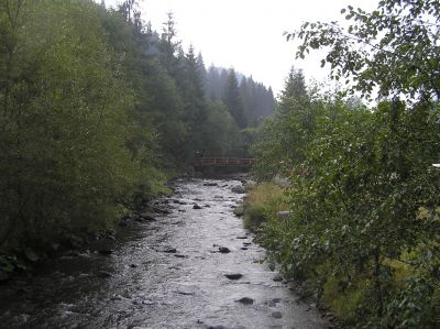 Lunca Bradului.